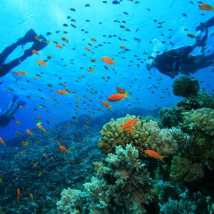 Advanced Open Water Certification