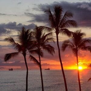 Sunset Tour