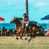 Polo / Riding Lesson