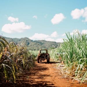 Farm Tours
