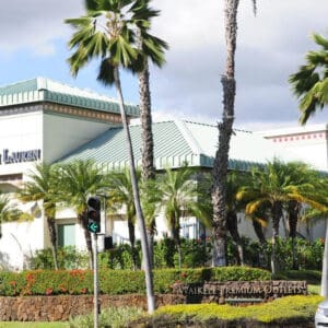 Aloha Shopping Tour