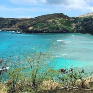 Aloha Beach Tour • Hanauma Bay