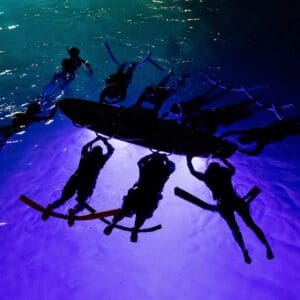 Night Manta Snorkel