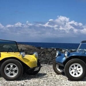 4 Hour Buggy Rental