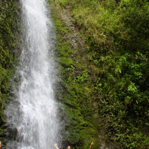 Private Waterfall & East Tour