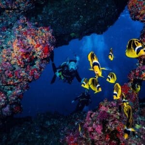2 Tank Lanai Cathedral Dive by Boat