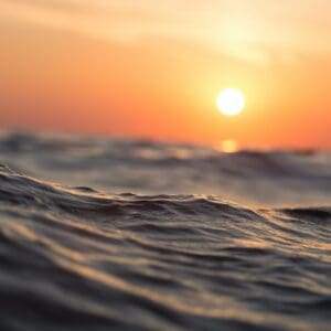Sunset Cultural Charter