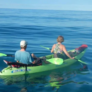 Snorkeling gear available for extended rental periods