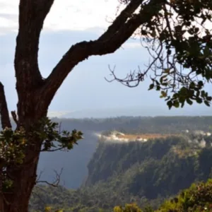 Tourists viewing active volcano landscape at sunset