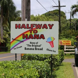 Scenic private tour halfway to Hana with expert guide