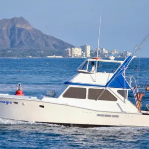 Scenic views from the MAGIC island tour experience