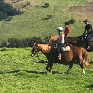 Private morning horseback ride through Maui’s Paniolo country