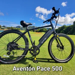 Ten-day electric bike rental for island touring
