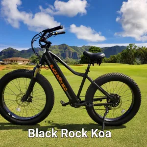 Nine-day ebike rental exploring island landscapes