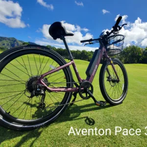 Five day ebike rental providing extended Maui island access