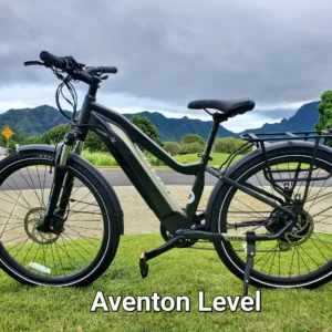 Two-hour ebike rental for a quick island ride