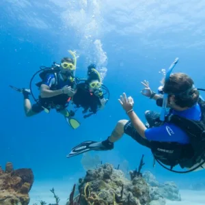 Scuba diver exploring vibrant coral reefs near Electric Beach
