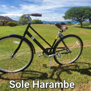 Seven day single-speed bike rental for island tour