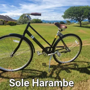All day single-speed bike rental for island tour