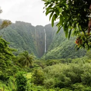 Luxury limousine driving past scenic island sites in Waikiki area
