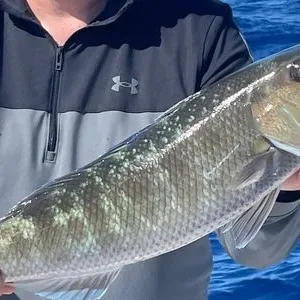 Anglers bottom fishing during four-hour Maui tour