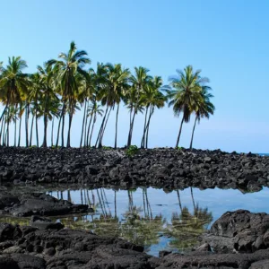 Guided hiking tour exploring Hawaii’s lush natural trails