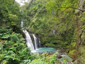 Road to Hana Halfway Tour