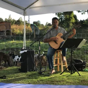 People practicing goat yoga during a Maui sunset with music