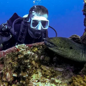 Scuba diver exploring vibrant coral reefs underwater