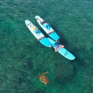 Family enjoying Ohana surf lesson together in warm water