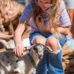 Child interacting gently with friendly goat on island