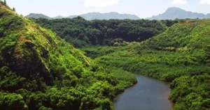 Wailua Delivery (Secret Falls)