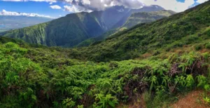 North Shore Hiking Experience