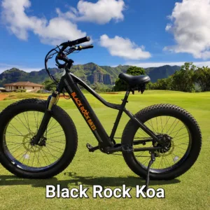 All day ebike rental with scenic island backdrop