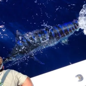 Full day fishing charter boat with passengers on deck