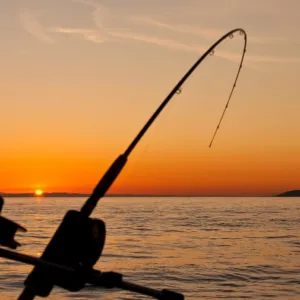 Full day fishing charter boat with passengers on deck