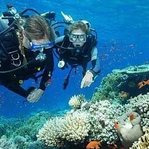 Scuba diver completing open water certification checkout dives