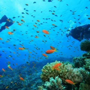 Advanced scuba divers training during two-day open water course