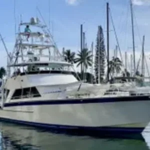 Enjoy a four hour whale watch cruise on Oahu waters