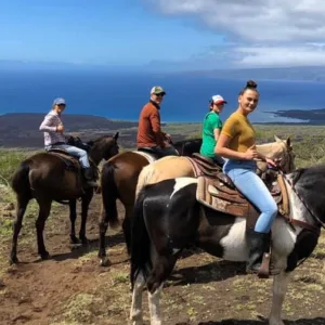 Guests enjoying an open range semi-private tour in Maui