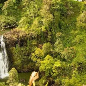 Small group hiking along scenic Road to Hana trail
