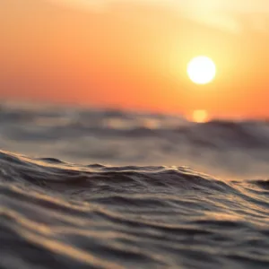 Crowd enjoying a public sunset cruise on a calm ocean