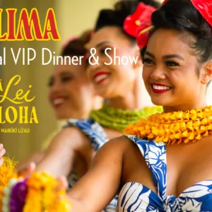 Exclusive VIP dinner and live show experience