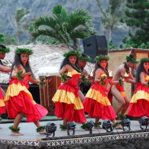 Bronze package luau with guests enjoying island traditions