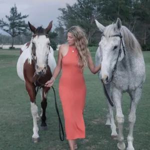 Sunset photoshoot featuring horse on beach setting
