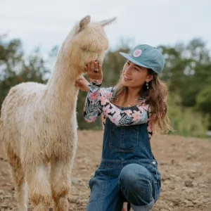 VIP picnic with alpacas at Grand Wailea resort