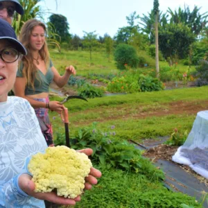 Hands-on farm to table cooking class with fresh produce