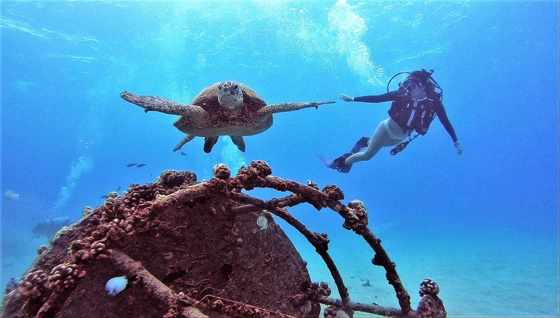 Scuba divers preparing for two tank dive excursion