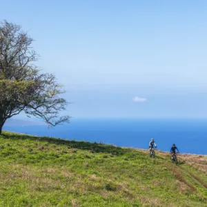 Private helicopter tour showcasing Maui’s landscapes
