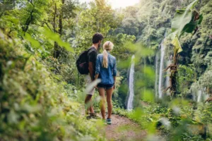 Hike into Heritage: Luxury Rainforest Hike & Waterfall Swim - Private Cadillac Escalade